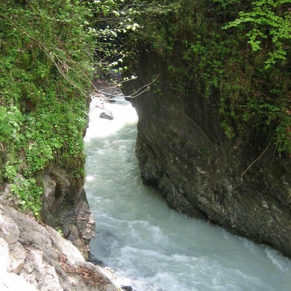 Meet your Posher, Shayla - Picture 9 of 12